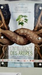 L'intelligence des arbres.jpg