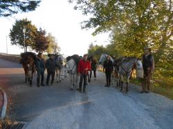 chevaux etape Les Soleillas.jpg