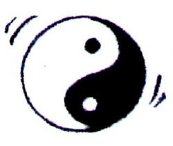 yin-et-yang.jpg