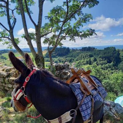 randonnée âne Ardèche