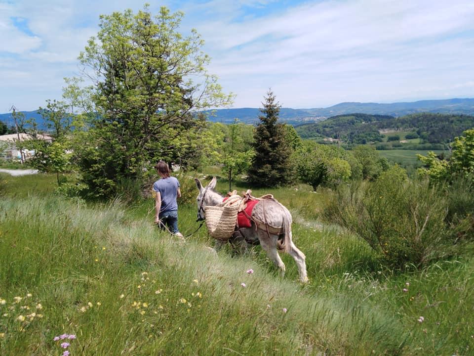 randonnée âne centre Ardèche