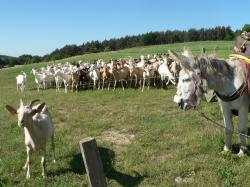 rencontre-ane-chevres-ardeche.jpg