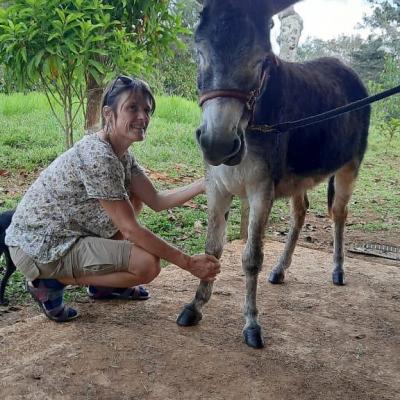 Shiatsu âne Costa Rica